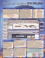 Internet Basics: Quick Reference Guide артикул 10054d.