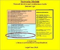 E-Business and Distributed Systems Handbook: Networks Module артикул 10168d.